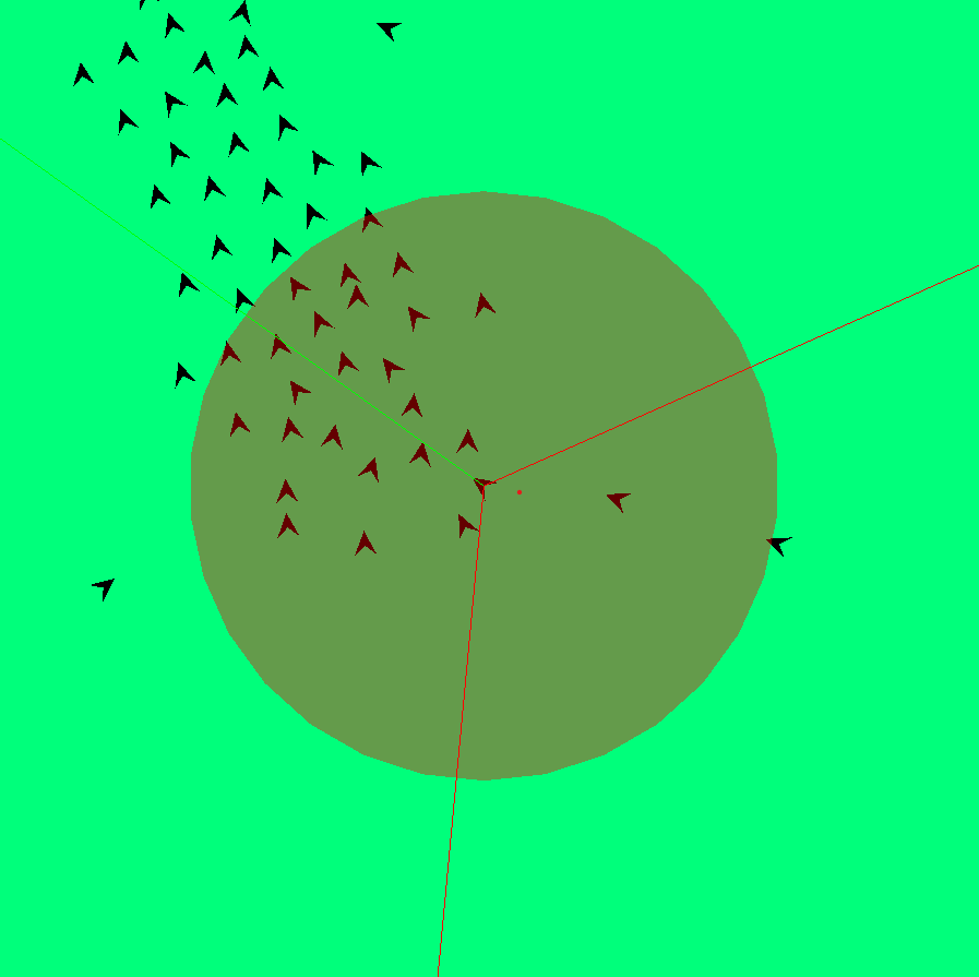 View of a boid exemple