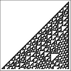 View of a boid exemple